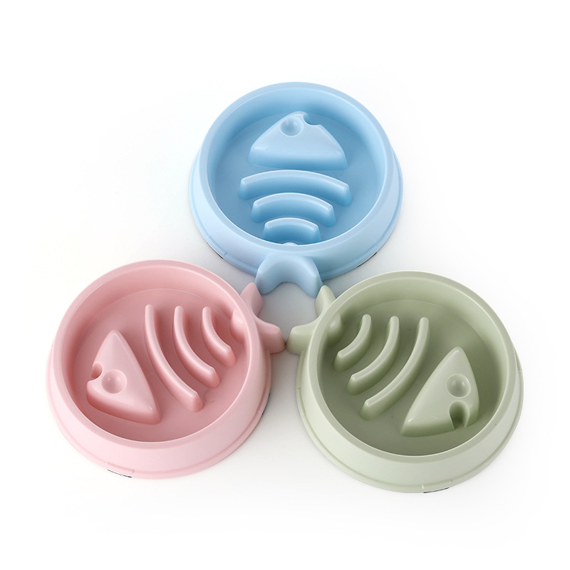 애완 동물 고양이 개 느린 음식 그릇 지방 도움 건강한 - Health Wellness Items 리뷰 및 가격