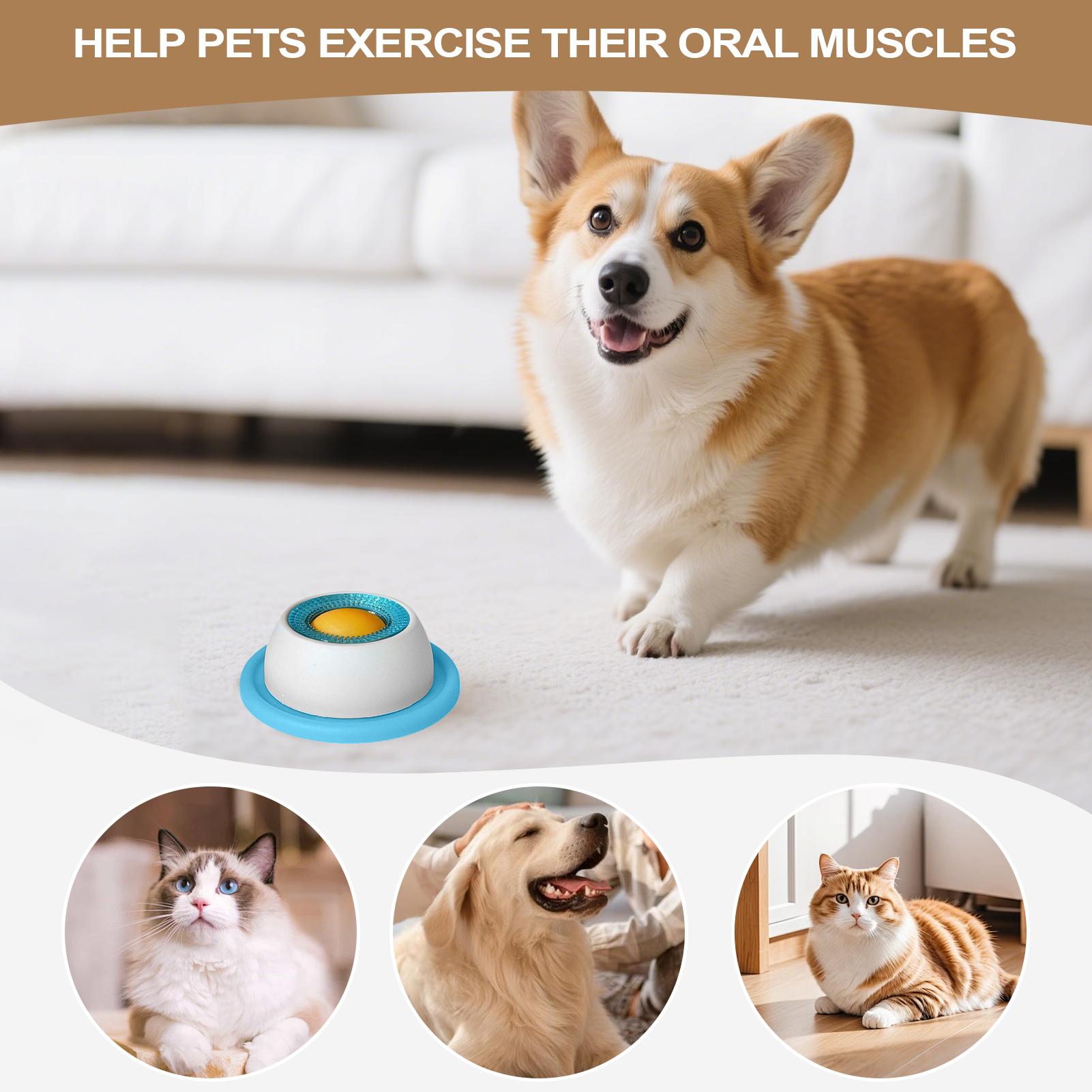 강아지 간식 장난감 애완동물 급식 용품 지루한 강아지를 - Health Wellness Items 리뷰 및 가격